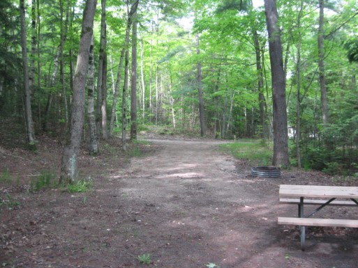 Site 4, photo 3 of 3 · from midnrreservations.com (the park's booking system)