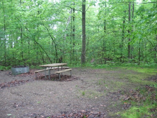 Site 18, photo 2 of 3 · from midnrreservations.com (the park's booking system)