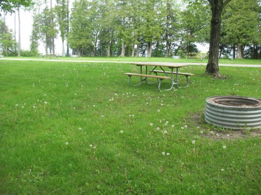 Site 43, photo 3 of 3 · from midnrreservations.com (the park's booking system)