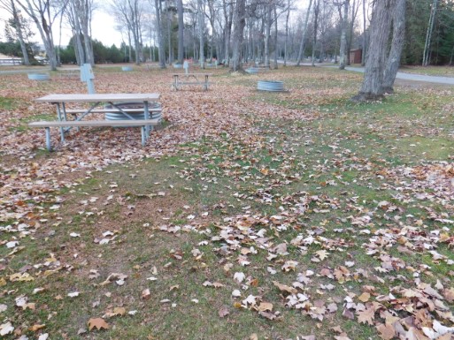 Site 65, photo 3 of 3 · from midnrreservations.com (the park's booking system)