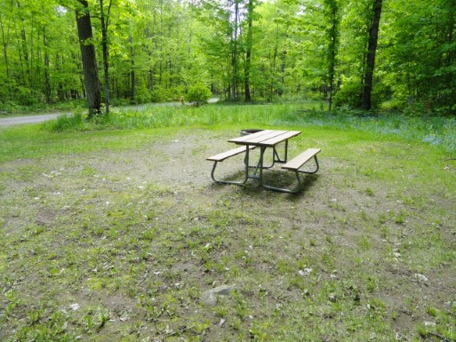 Site 21, photo 3 of 3 · from midnrreservations.com (the park's booking system)