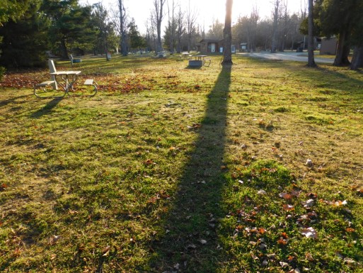 Site 45, photo 3 of 3 · from midnrreservations.com (the park's booking system)