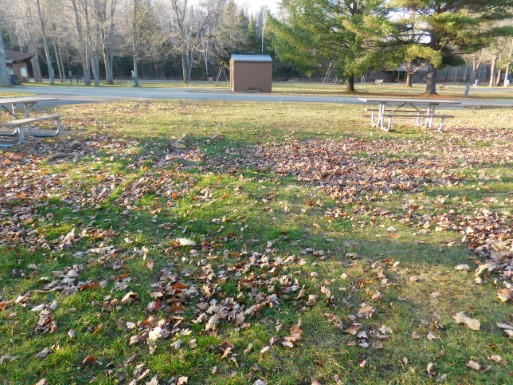 Site 42, photo 2 of 3 · from midnrreservations.com (the park's booking system)