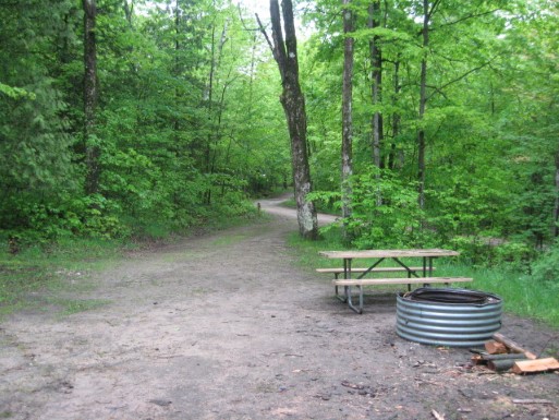 Site 11, photo 3 of 3 · from midnrreservations.com (the park's booking system)
