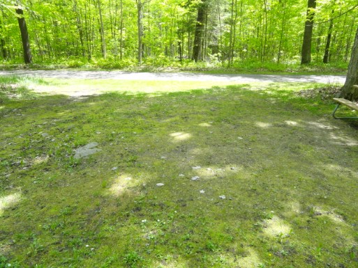 Site 20, photo 2 of 3 · from midnrreservations.com (the park's booking system)