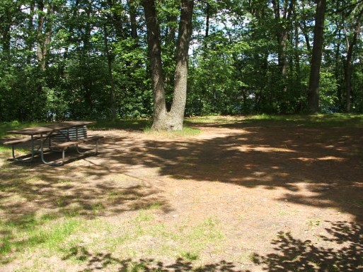 Site 2, photo 3 of 3 · from midnrreservations.com (the park's booking system)