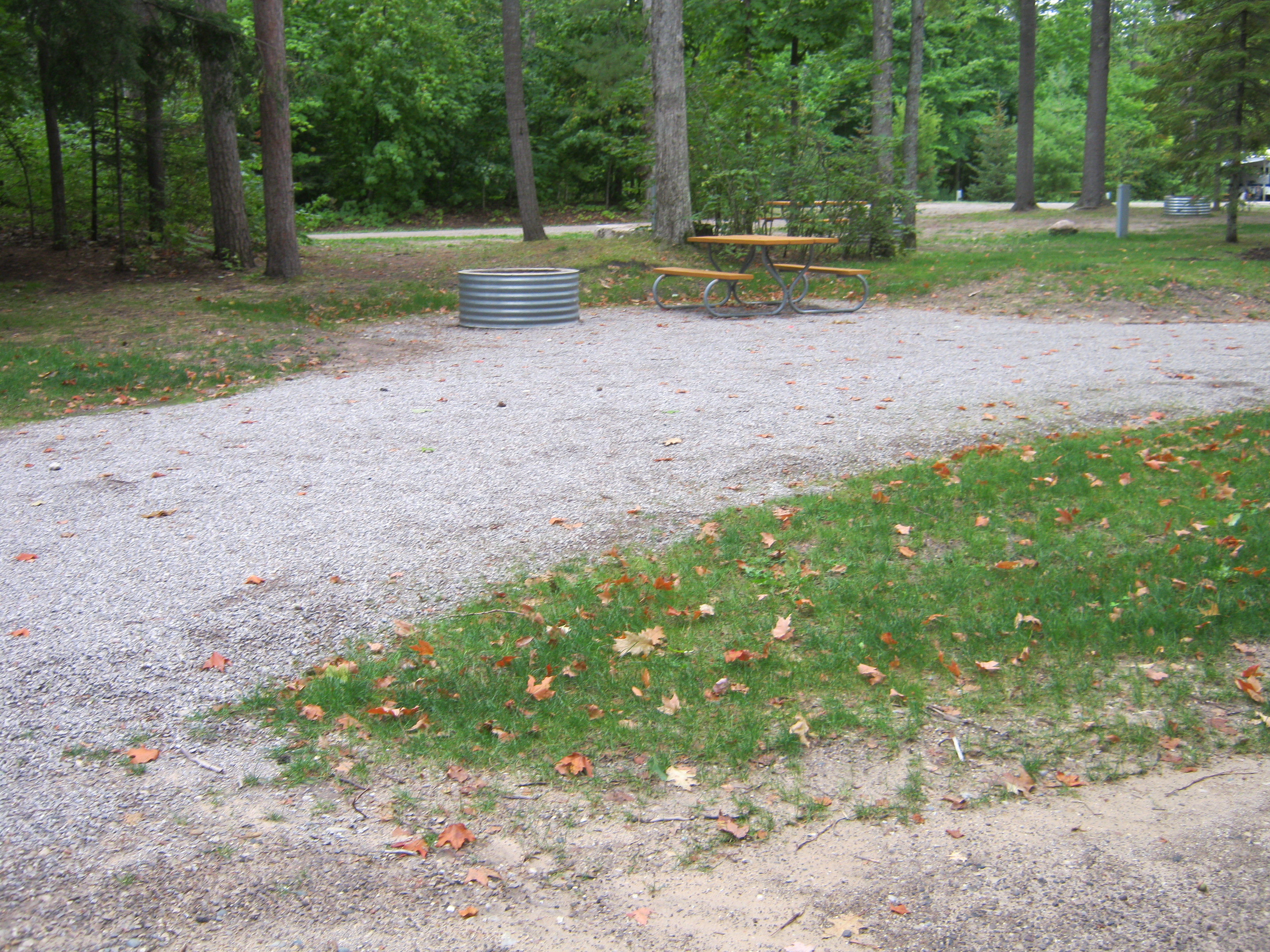 Site 51, photo 2 of 2 · from midnrreservations.com (the park's booking system)
