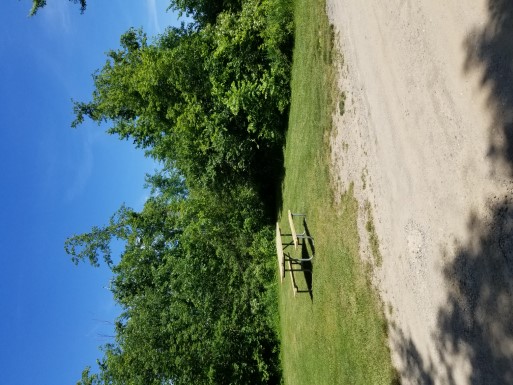 Site 29, photo 2 of 2 · from midnrreservations.com (the park's booking system)