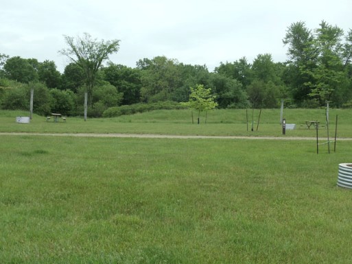 Site 10, photo 2 of 2 · from midnrreservations.com (the park's booking system)