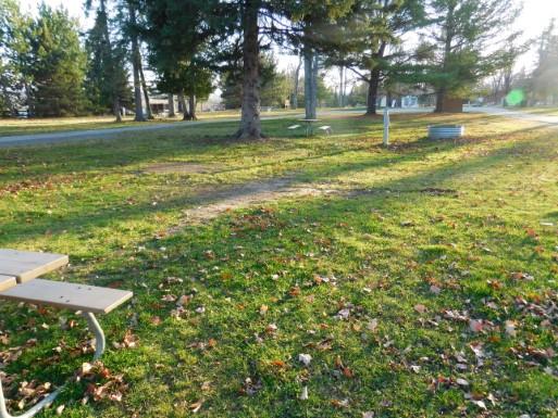 Site 46, photo 3 of 3 · from midnrreservations.com (the park's booking system)