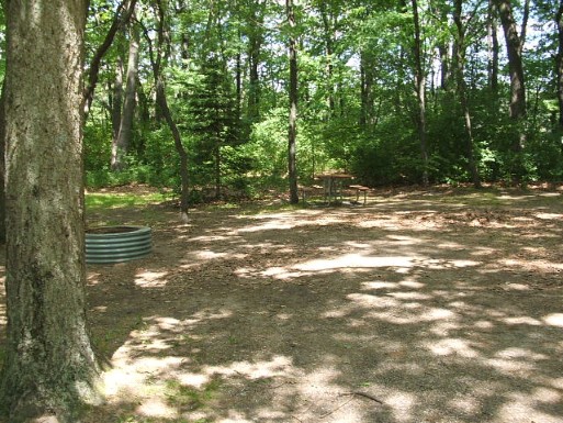 Site 28, photo 2 of 2 · from midnrreservations.com (the park's booking system)