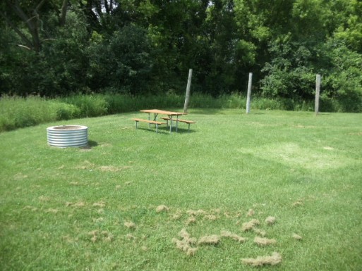 Site 21, photo 2 of 3 · from midnrreservations.com (the park's booking system)