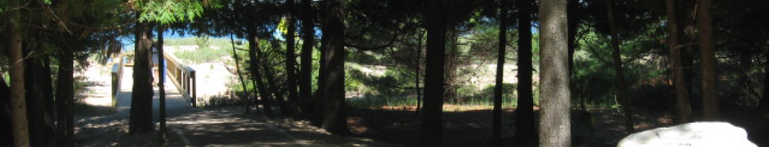 Young State Park