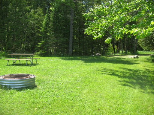 Site 151, photo 3 of 3 · from midnrreservations.com (the park's booking system)