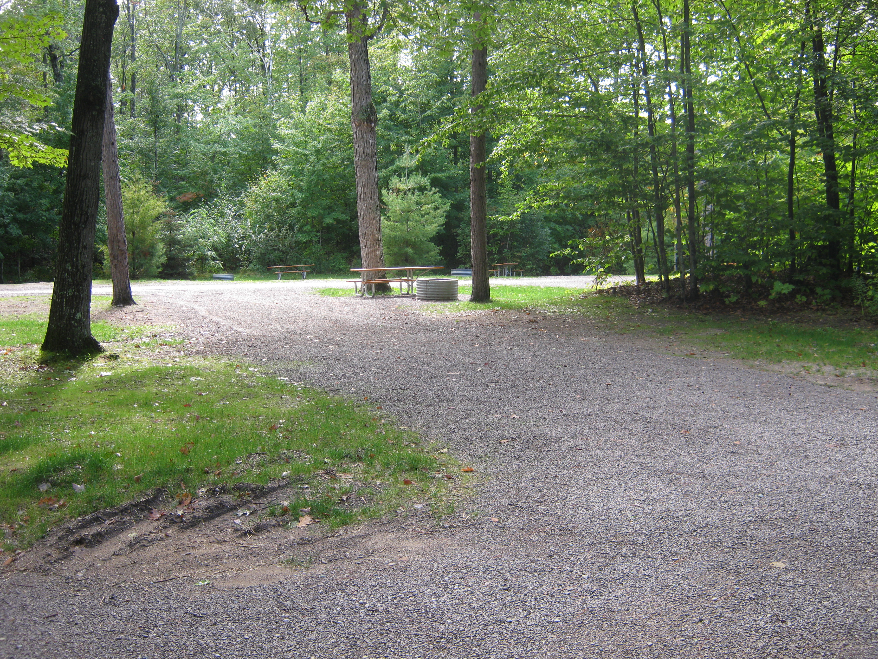 Site 59, photo 2 of 2 · from midnrreservations.com (the park's booking system)