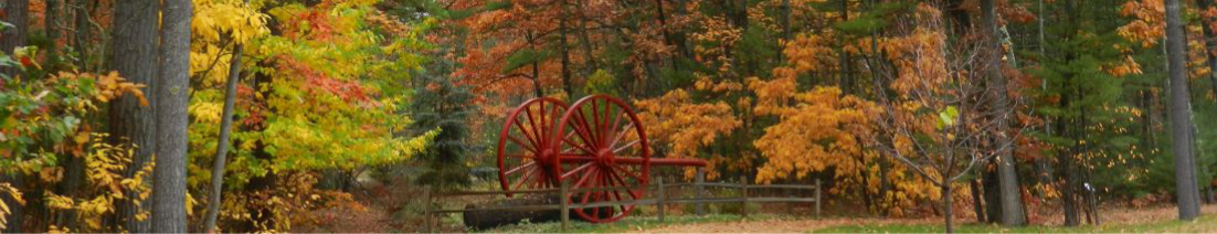 Interlochen State Park