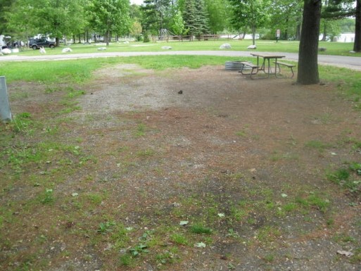 Site 41, photo 3 of 3 · from midnrreservations.com (the park's booking system)