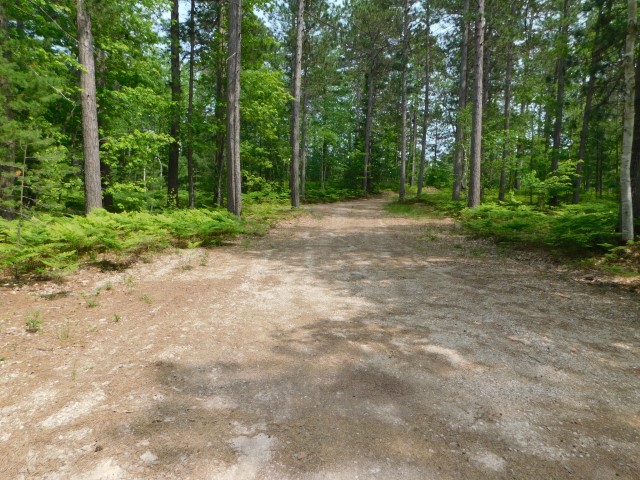Site 7, photo 2 of 2 · from midnrreservations.com (the park's booking system)
