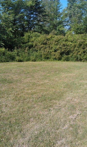 Site 30, photo 2 of 2 · from midnrreservations.com (the park's booking system)