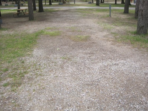 Site 117, photo 2 of 3 · from midnrreservations.com (the park's booking system)