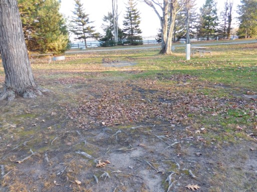 Site 52, photo 2 of 3 · from midnrreservations.com (the park's booking system)