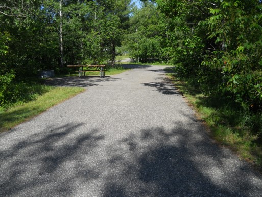 Site 87