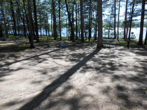 Site 120