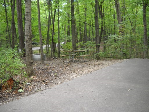 Site 142, photo 2 of 3 · from midnrreservations.com (the park's booking system)