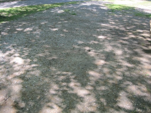 Site 79, photo 2 of 3 · from midnrreservations.com (the park's booking system)