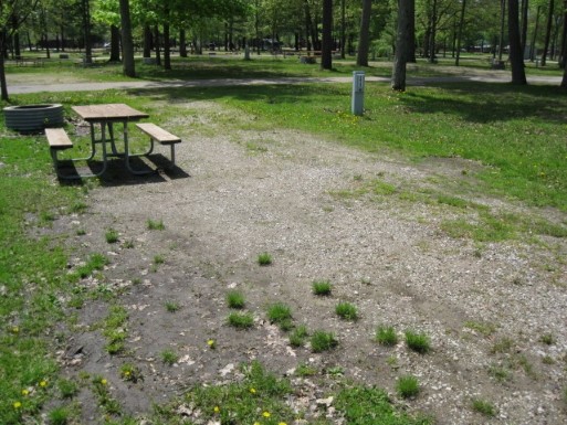 Site 172, photo 2 of 3 · from midnrreservations.com (the park's booking system)