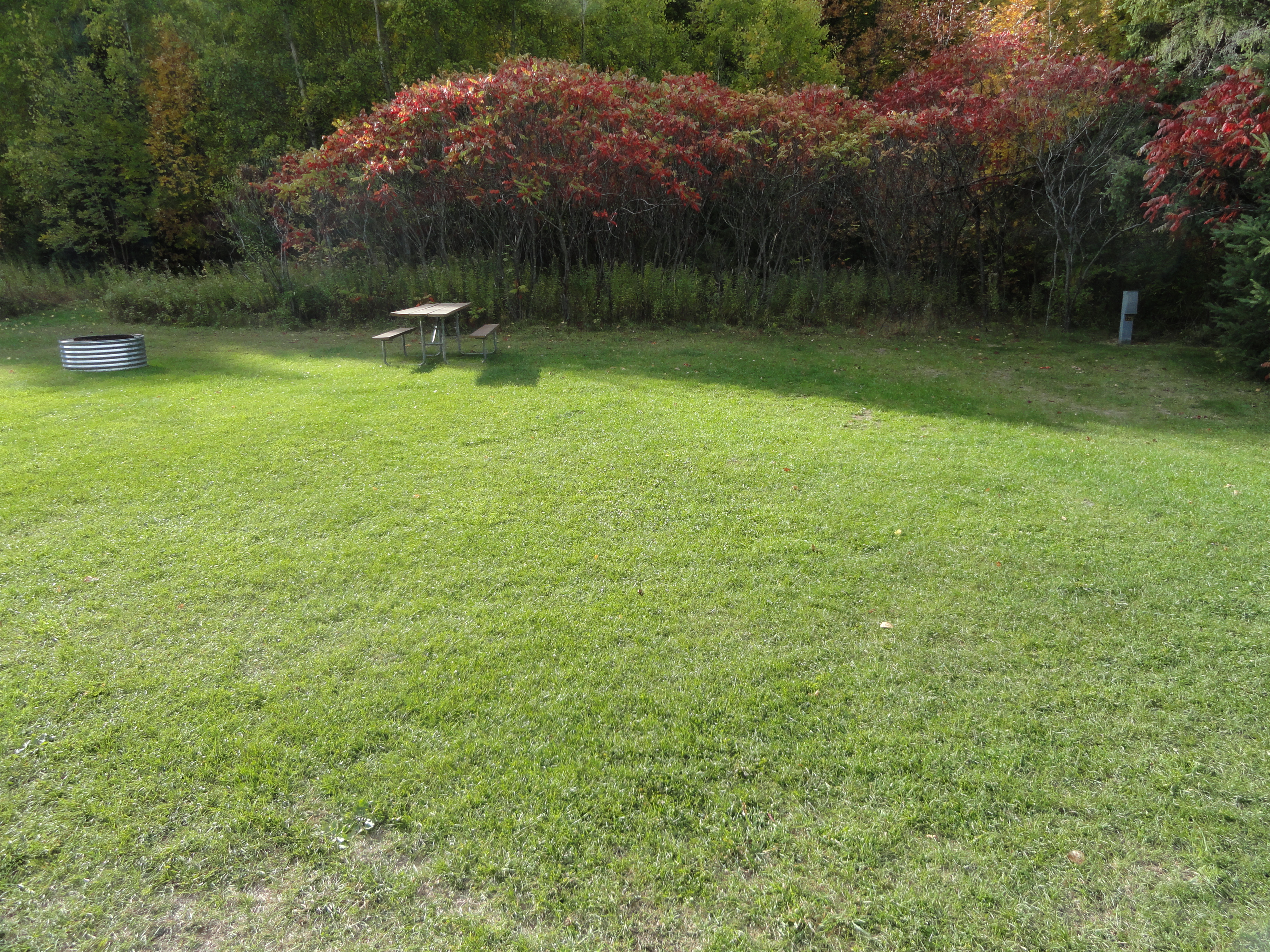 Site 123, photo 2 of 3 · from midnrreservations.com (the park's booking system)