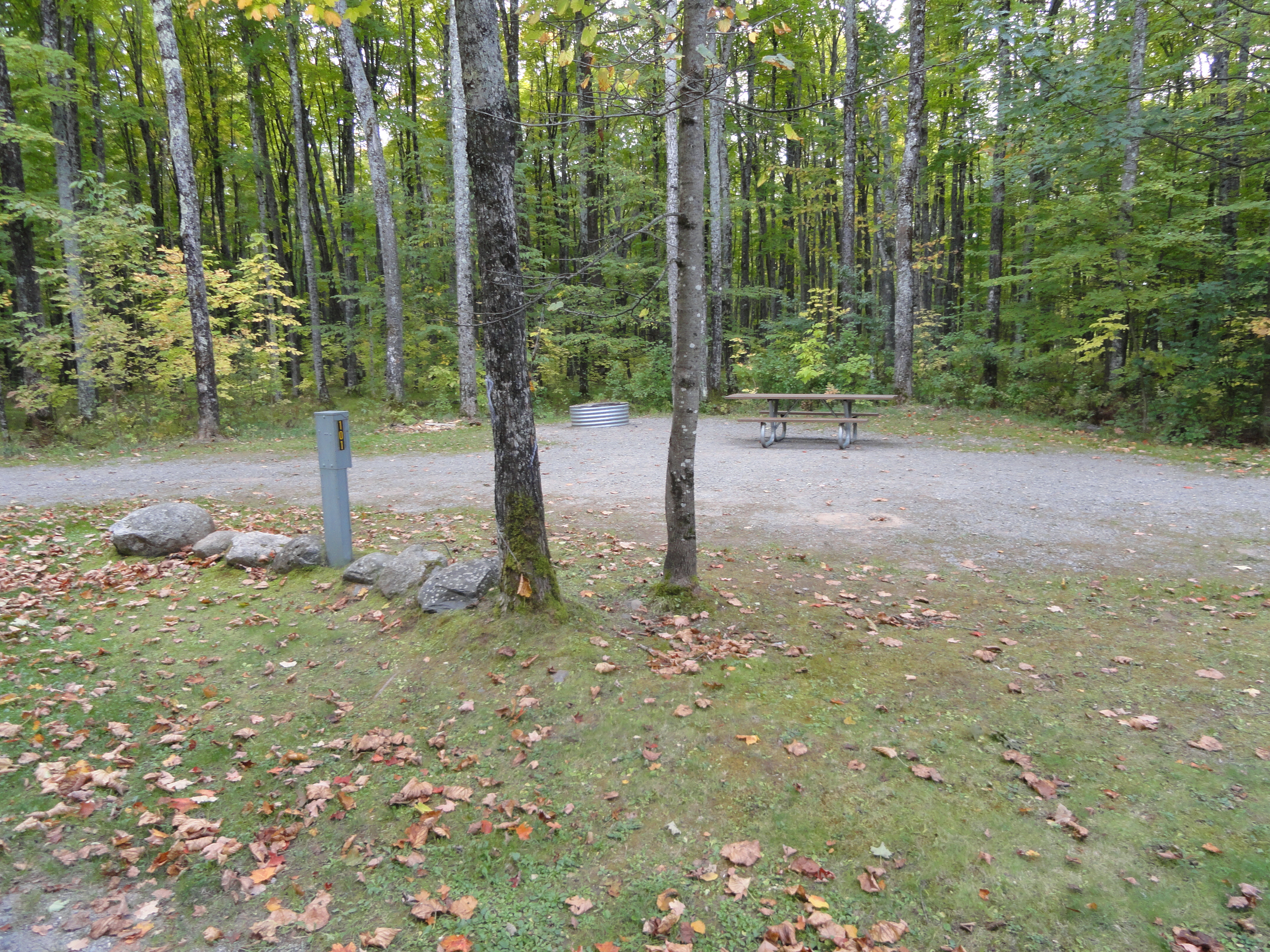 Site 97, photo 2 of 3 · from midnrreservations.com (the park's booking system)