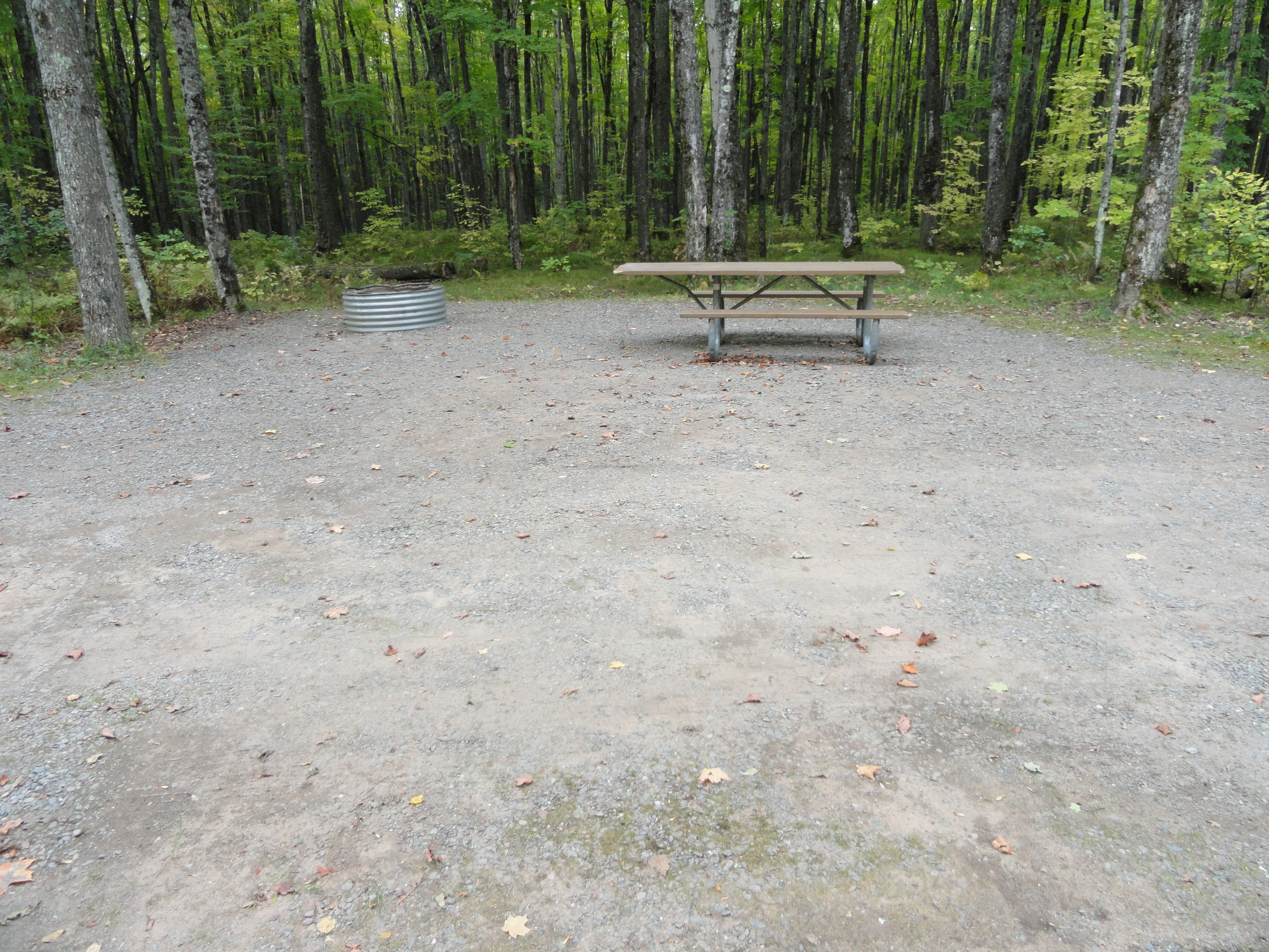 Site 100, photo 3 of 3 · from midnrreservations.com (the park's booking system)