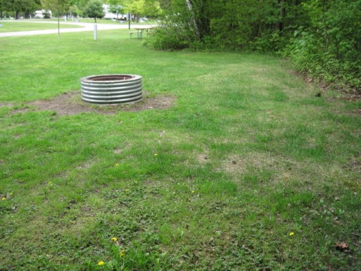 Site 21, photo 3 of 3 · from midnrreservations.com (the park's booking system)
