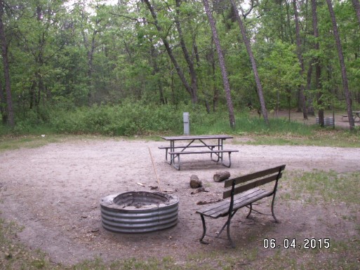 Site 164, photo 3 of 3 · from midnrreservations.com (the park's booking system)