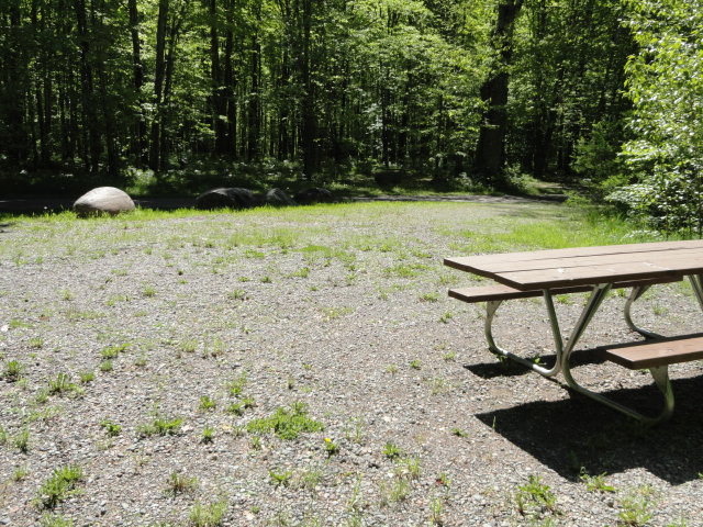 Site 86, photo 2 of 3 · from midnrreservations.com (the park's booking system)