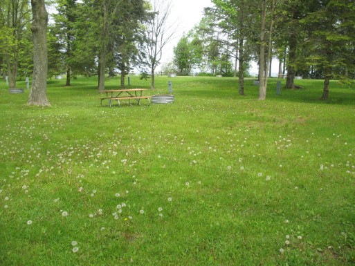 Site 61, photo 2 of 3 · from midnrreservations.com (the park's booking system)