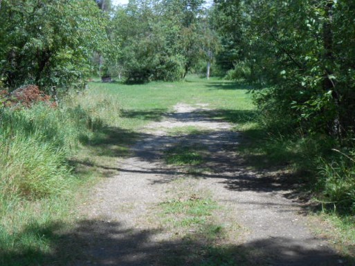 Site 2, photo 2 of 3 · from midnrreservations.com (the park's booking system)