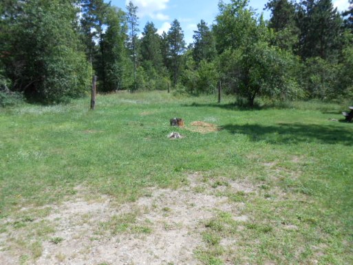 Site 9, photo 3 of 3 · from midnrreservations.com (the park's booking system)