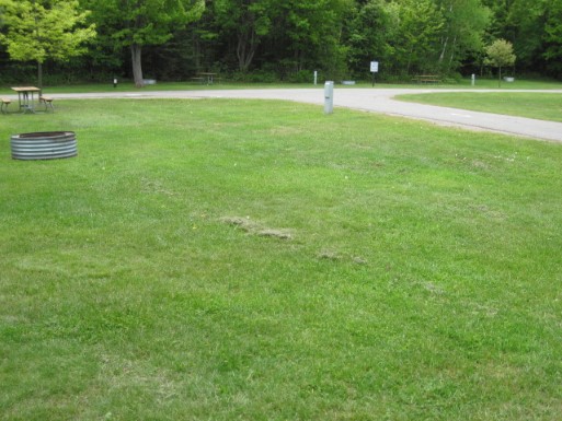 Site 26, photo 2 of 2 · from midnrreservations.com (the park's booking system)