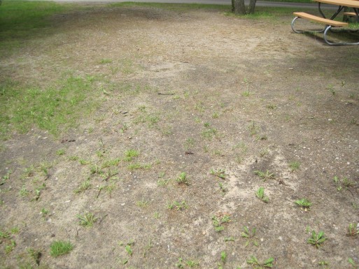 Site 7, photo 2 of 3 · from midnrreservations.com (the park's booking system)