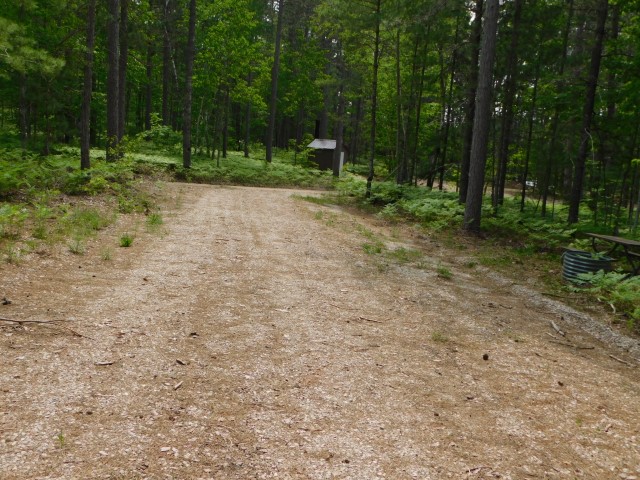 Site 8, photo 2 of 2 · from midnrreservations.com (the park's booking system)