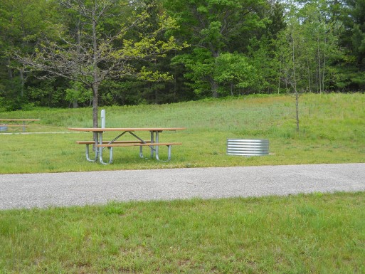 Site 5