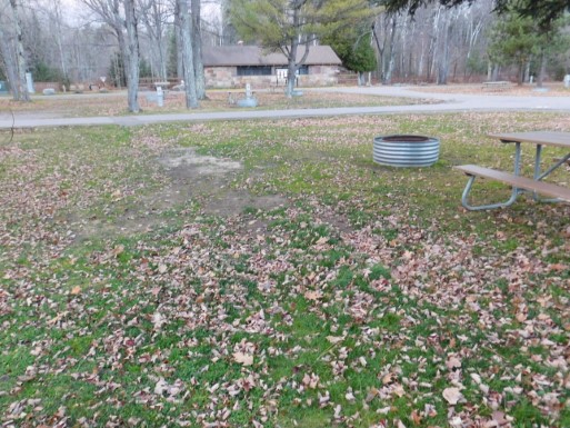 Site 76, photo 2 of 3 · from midnrreservations.com (the park's booking system)