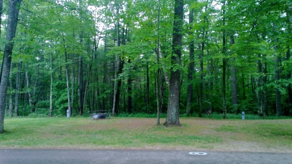 Site 8, photo 2 of 2 · from midnrreservations.com (the park's booking system)