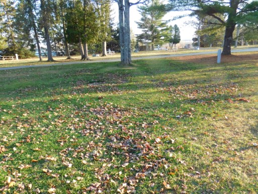 Site 44, photo 2 of 3 · from midnrreservations.com (the park's booking system)