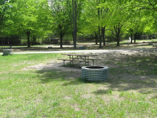Site 131, photo 2 of 2 · from midnrreservations.com (the park's booking system)