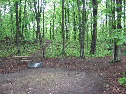 Site 59, photo 2 of 3 · from midnrreservations.com (the park's booking system)
