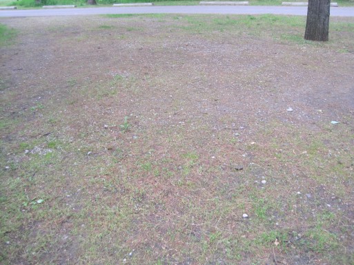 Site 6, photo 2 of 3 · from midnrreservations.com (the park's booking system)