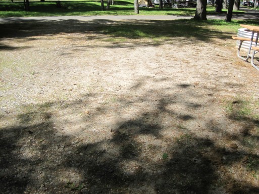 Site 3, photo 2 of 3 · from midnrreservations.com (the park's booking system)